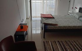 Apartman Savić plus